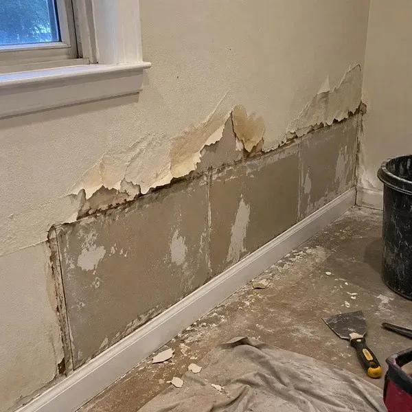 Peeling paint above water-damaged drywall near the floor